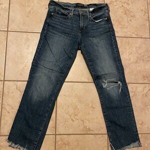 Banana Republic Girlfriend Jeans Size 28